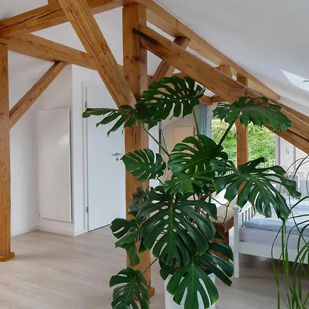 Engelsberghof Σπίτι διακοπών Endingen am Kaiserstuhl